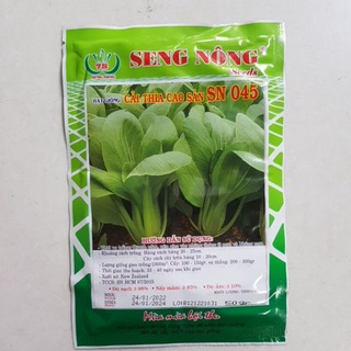 hạt giống Cải thìa SN