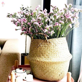 Sọt cói trồng cây đựng đồ