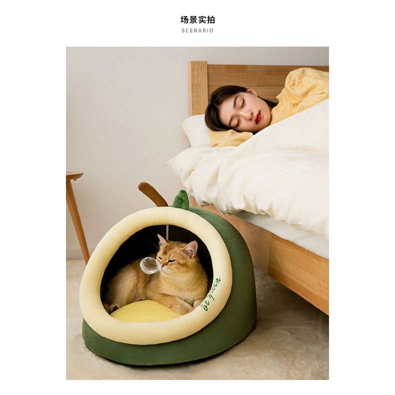 nhà ngủ cute cho chó mèo