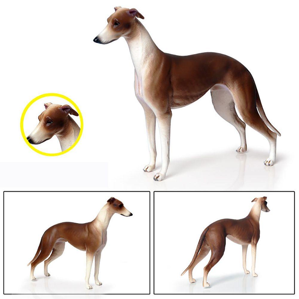 Đồ Chơi Mô Hình Chú Chó Săn Mô Phỏng Tự Nhiên Giáo Dục Khoa Học &amp; Mô Phỏng Khu Vườn Thần Tiên