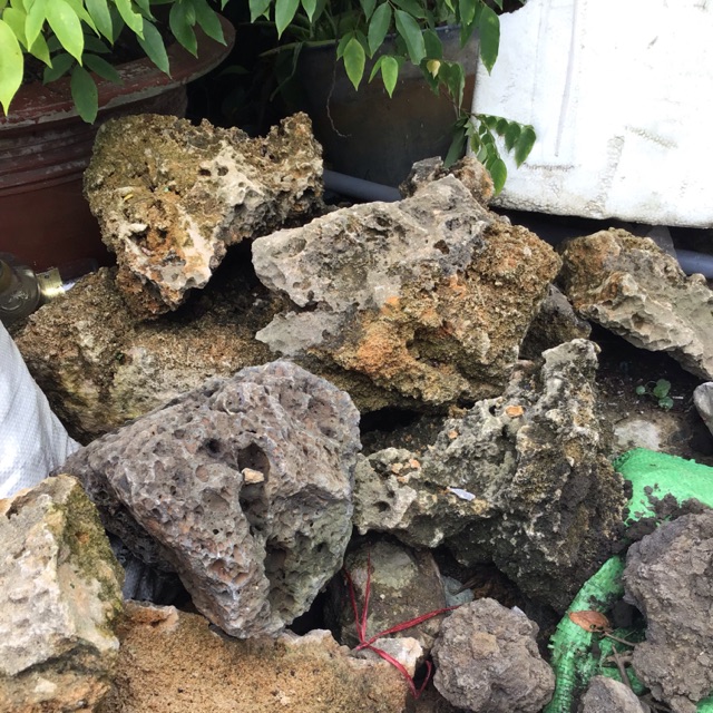 Đá đỏ ninh thuận loại lớn 3kg