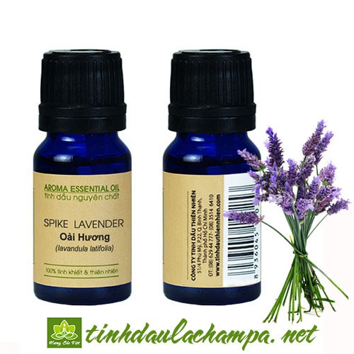 Tinh dầu Oải hương Lachampa  -Lavender Spike Pháp - hương thơm ấm ngọt, giúp ngủ ngon