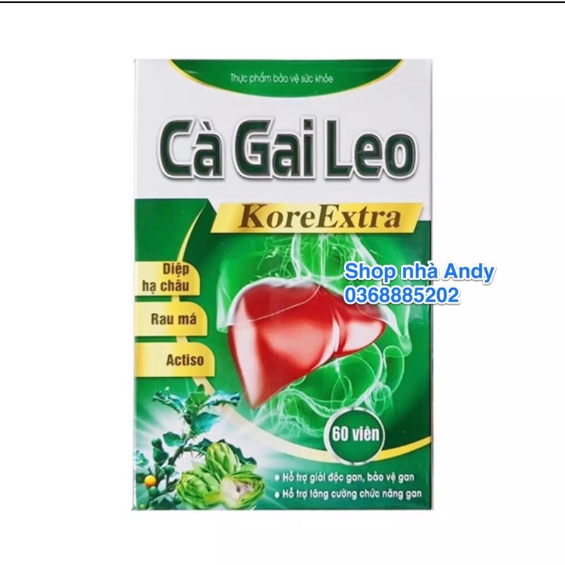 ✅ (CHÍNH HÃNG) Cà Gai Leo - Giải Độc Gan, Giải Rượu