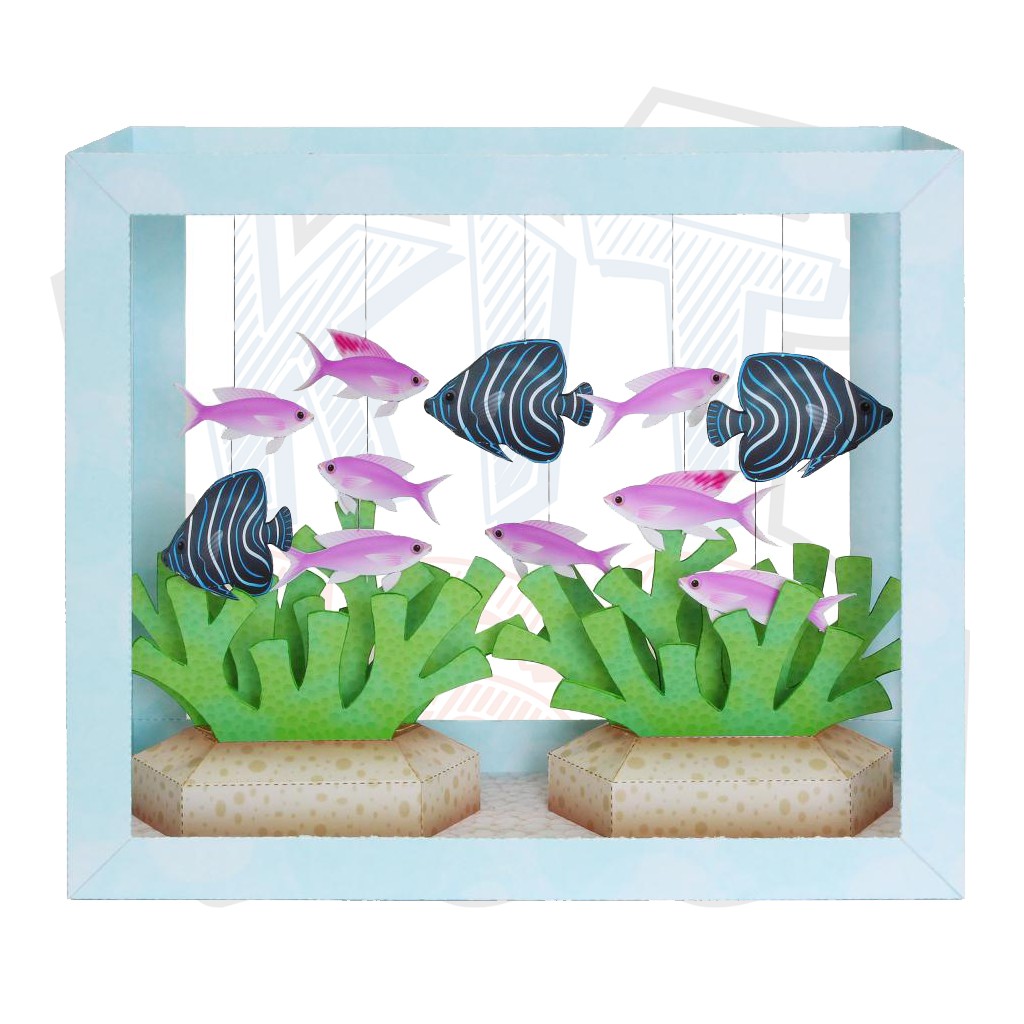 Mô hình giấy động vật Hồ cá Koran Angelfish - Purple Anthias