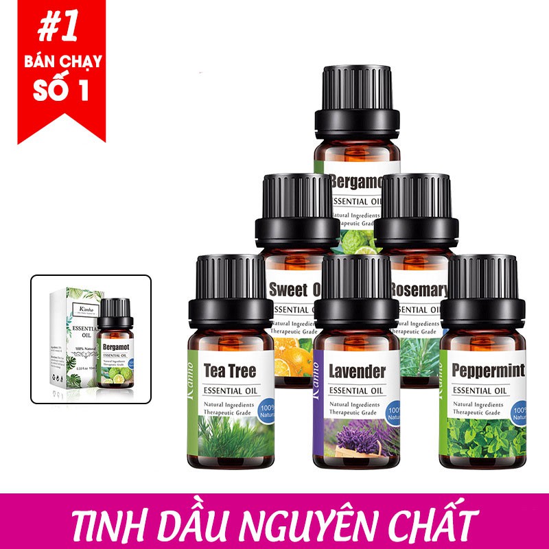 Tinh Dầu Oải Hương Thiên Nhiên Nguyên Chất 10ml