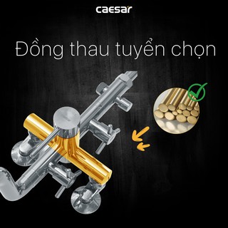 Sen cây nóng lạnh S488C Caesar
