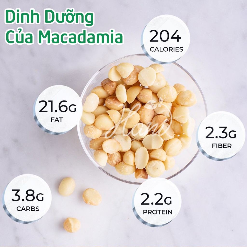 Nhân Maca Sấy Chín Sạch Thơm Giòn Béo 500g, Nữ Hoàng Các Loại Hạt Dak Lak ⛳ Dinh dưỡng HANI FOOD