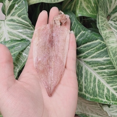 MỰC KHÔ CÂU MINI TÚI 15CON Size 60-80CON/KG | BigBuy360 - bigbuy360.vn