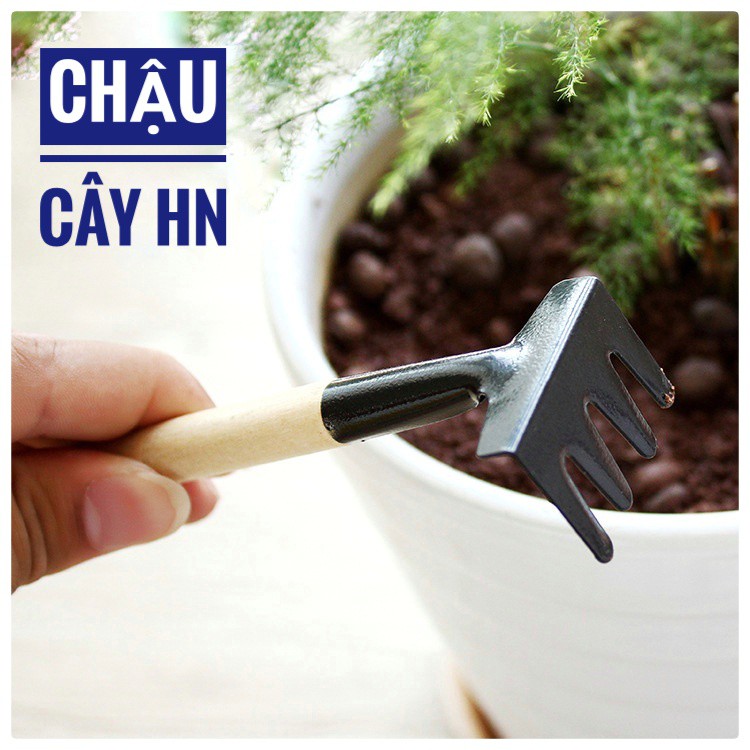 Bộ Dụng Cụ Làm Vườn Mini 3 Món Tiện Dụng tay cầm nhỏ, phù hợp chăm sóc cây văn phòng