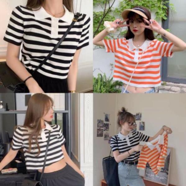 Áo croptop sọc cổ bẻ