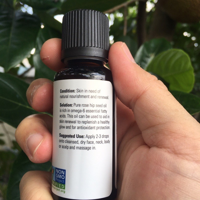 Tinh Dầu Nụ Tầm Xuân NOW Rose Hip Seed Oil | BigBuy360 - bigbuy360.vn