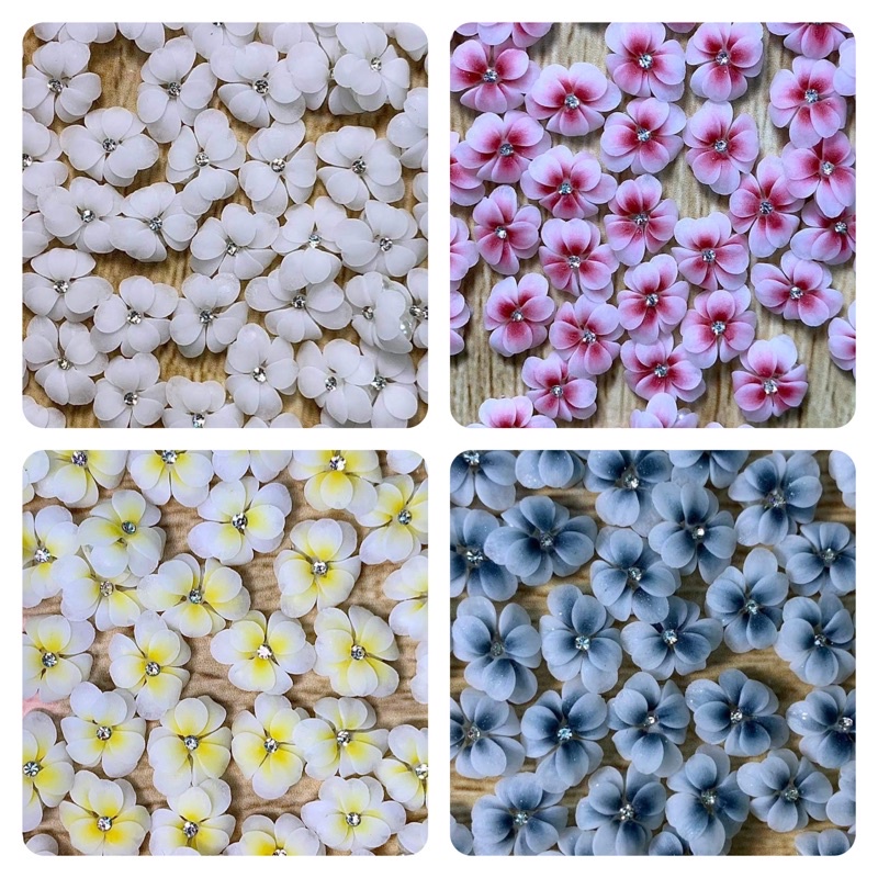 Hoa Bột -  Hoa Nail 9 Cánh Giá 1bông