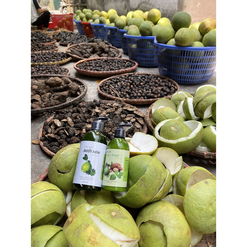 Dầu gội đầu thiên nhiên bưởi non kích thích mọc tóc - Dầu xả vỏ bưởi dưỡng tóc sạch gầu biotin ngăn rụng tóc 500ml | BigBuy360 - bigbuy360.vn