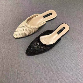 Sục cói mũi nhọn