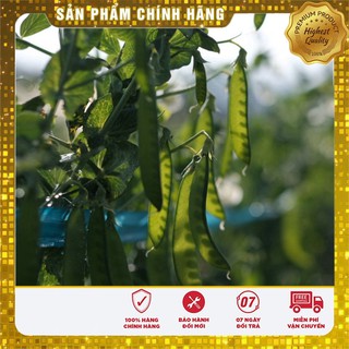 Hạt giống đậu Hà Lan - 50gr