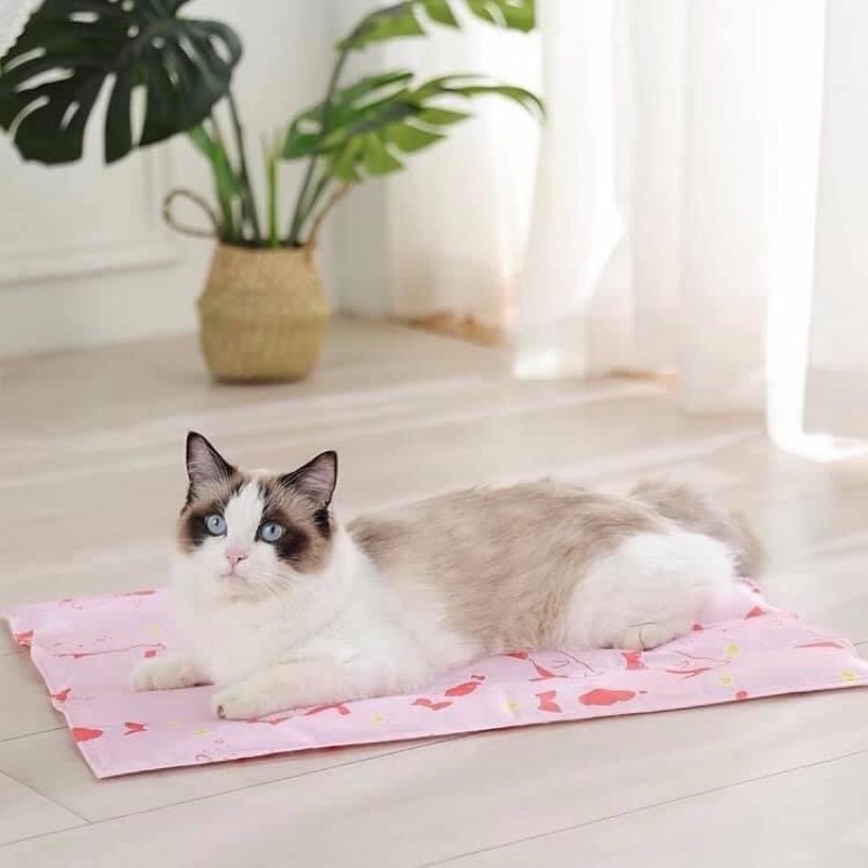 Thảm Gel Thảm Làm Mát Cho Chó Mèo HOẠ TIẾT 45x60cm