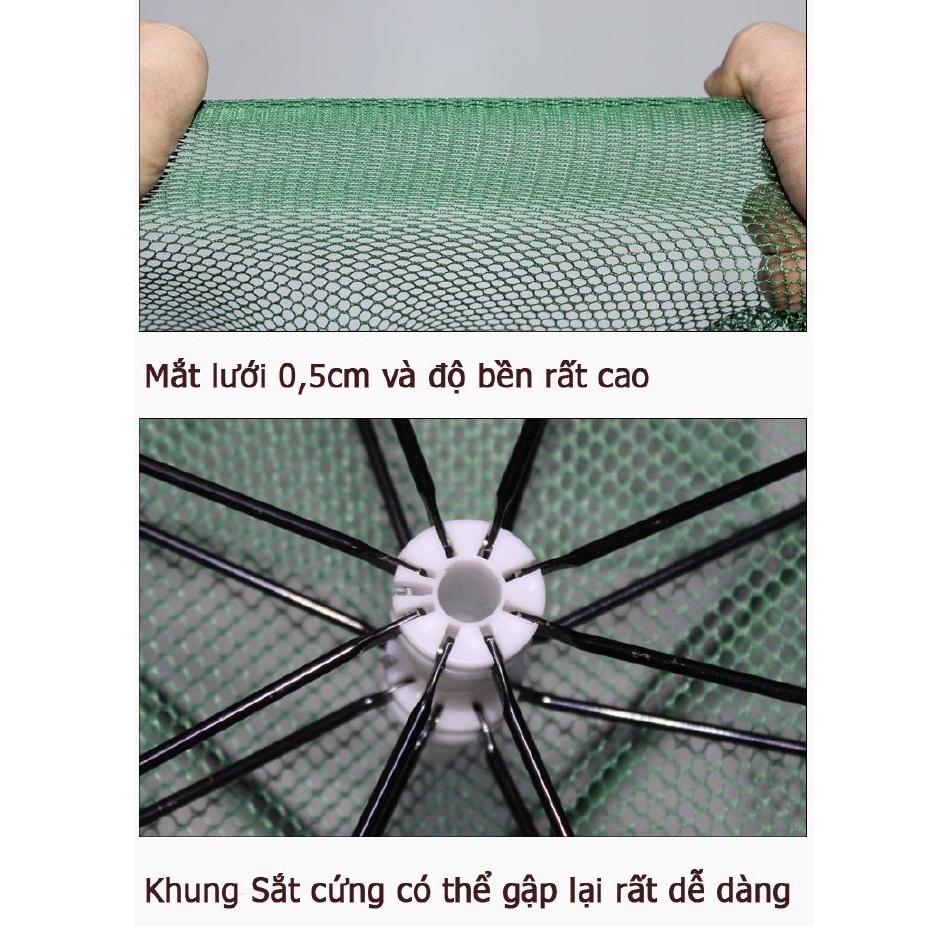 Lồng Ô Bát Quái Bắt Tôm, Cá, Trạch, Lươn, Cua...HÀNG LOẠI 1 | Lưới Lồng Bát Quái 4- 6 - 8 - 12 - 16 Cửa