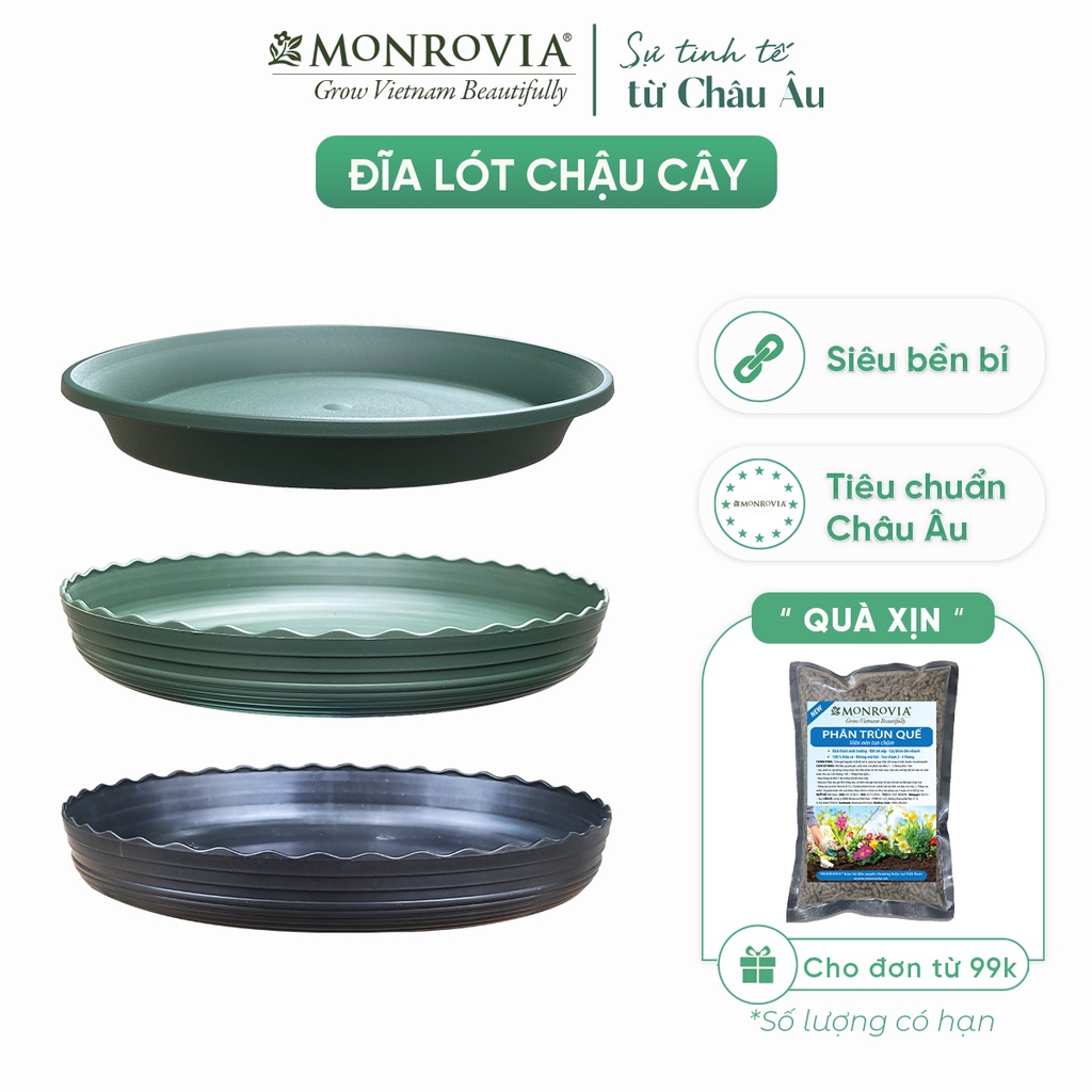 Đĩa lót chậu nhựa trồng cây MONROVIA, cho cây cảnh, hoa hồng, thiết kế tinh tế, tiêu chuẩn Châu Âu