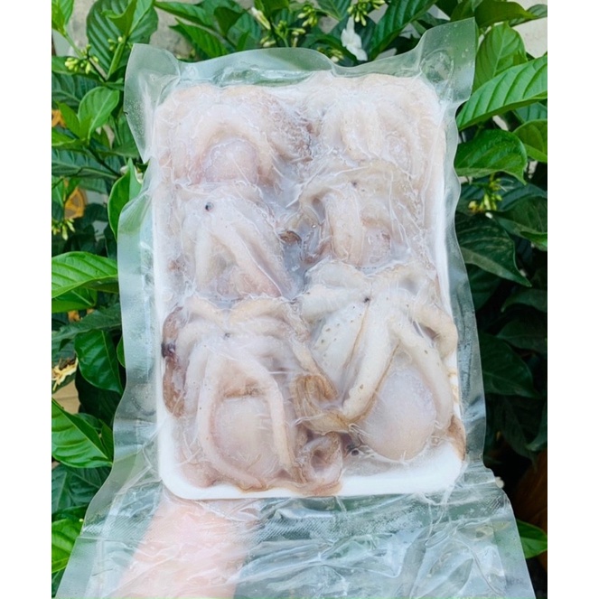 500G KHAY BẠCH TUỘC  cực ngon NUONGFOOD