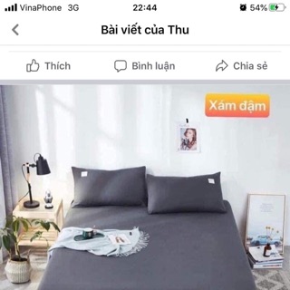 Set ga gối cotton tici