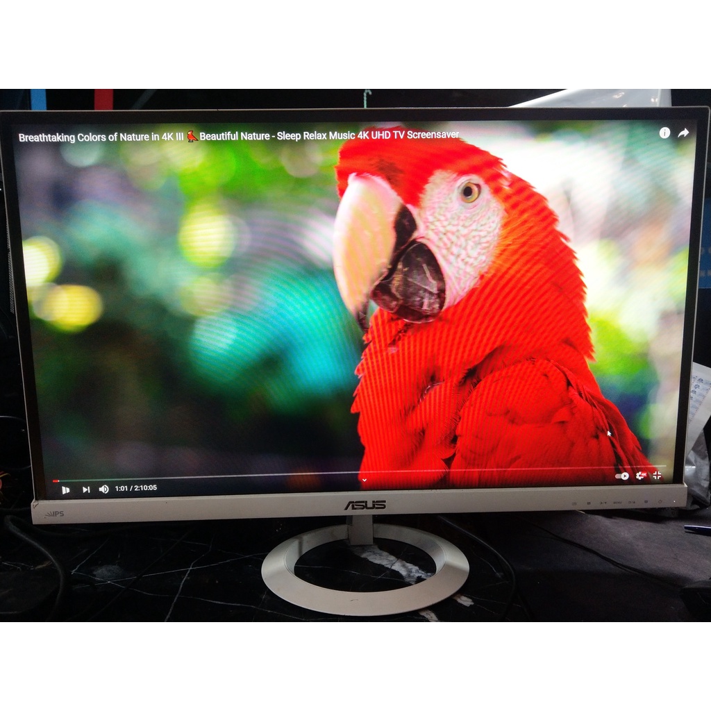 Màn hình asus vx279 cũ đẹp | BigBuy360 - bigbuy360.vn