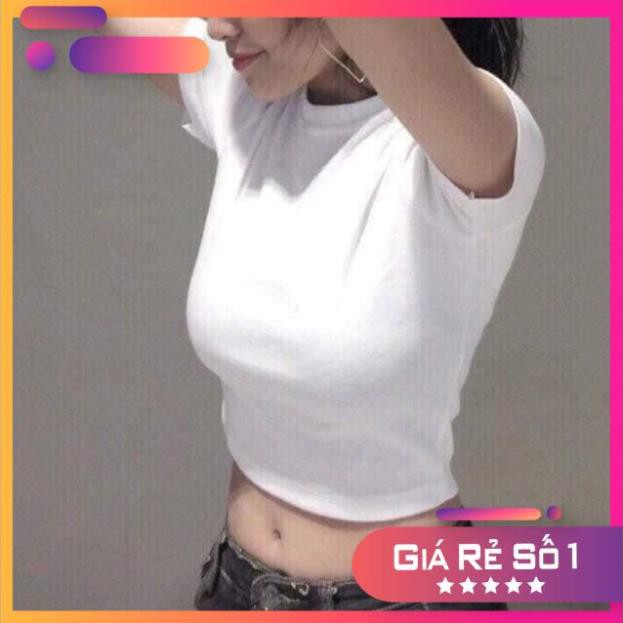 [BÁN LẺ GIÁ SỈ] Áo croptop trơn cổ tròn đen trắng chất cotton