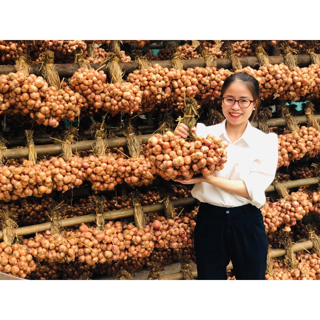 Hành Ta Kinh Môn Giá Sỉ, Hành Loại 1 Củ To, Đặc Sản Hải Dương