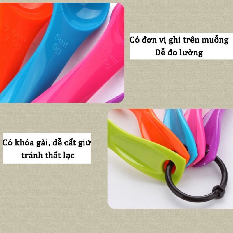 Bộ 5 thìa đong định lượng gia vị, muỗng đong bột nhà bếp tiện lợi