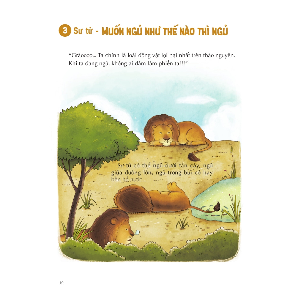 Sách - Bí Mật Muôn Loài - “Thánh Ngủ” Là Ai?