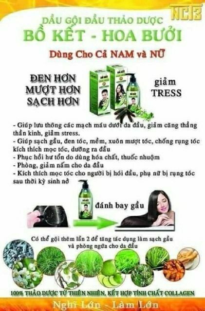 [Giá gốc]Dầu Gội Bồ Kết Hoa Bưởi Trị Rụng Tóc-Nấm-Gàu Hiệu Quả | BigBuy360 - bigbuy360.vn