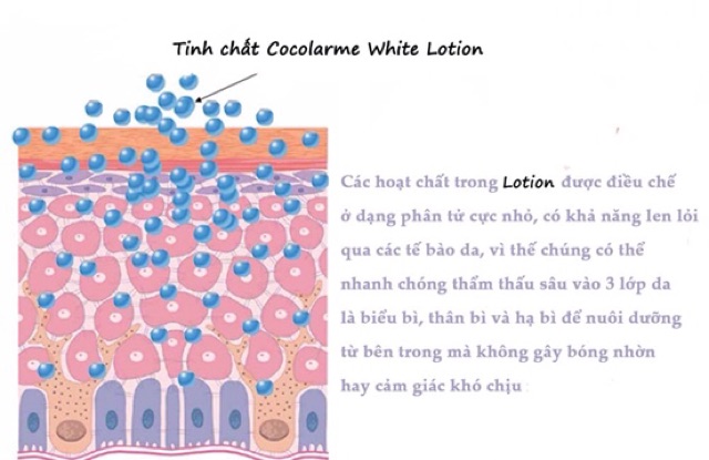 Combo COCOLARME Cấp Nước, Dưỡng Trắng: Cocolarme Natural Lotion và Tinh Chất Dưỡng Trắng Cocolarme White Lotion