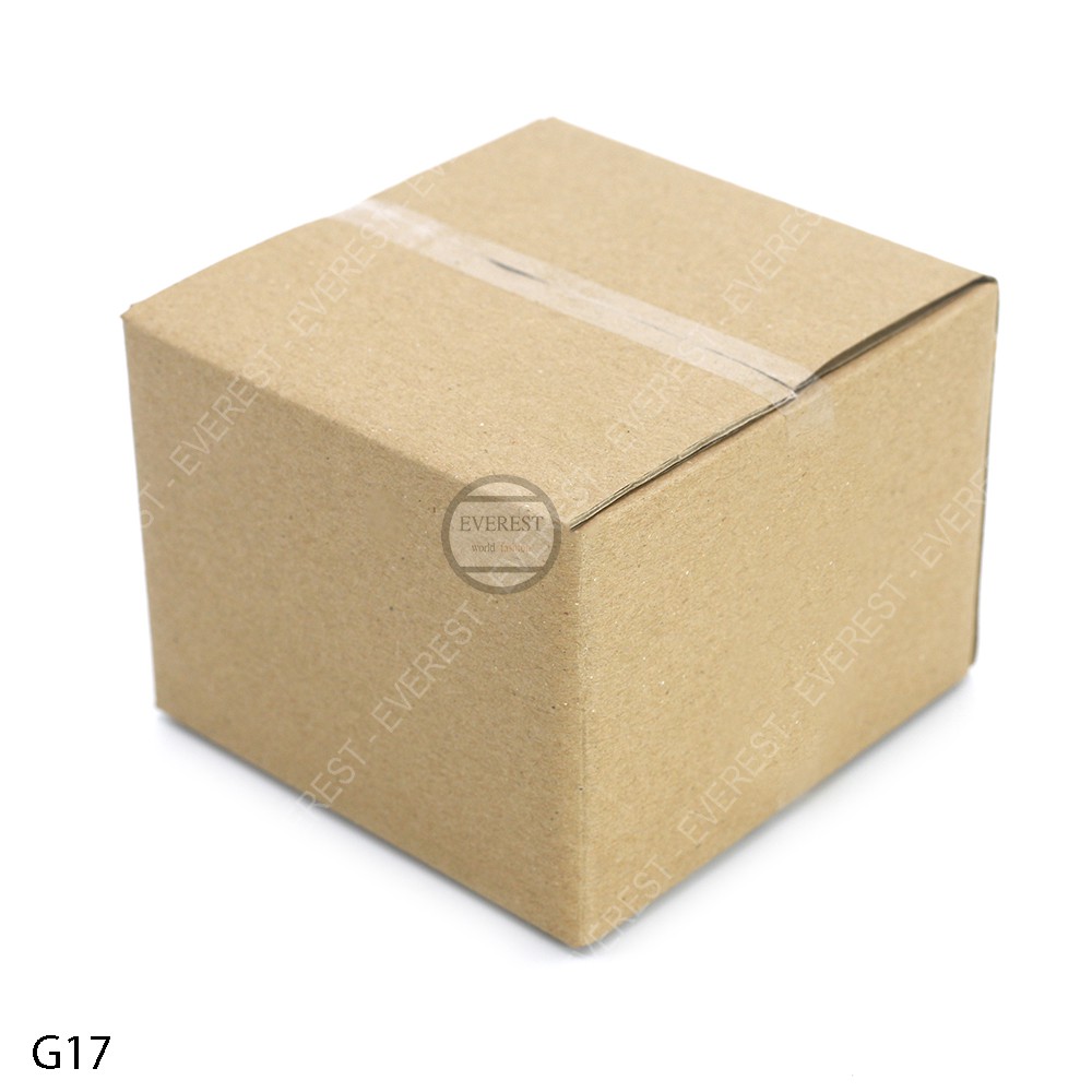 Combo 20 thùng G17 12x12x9 giấy carton gói hàng Everest