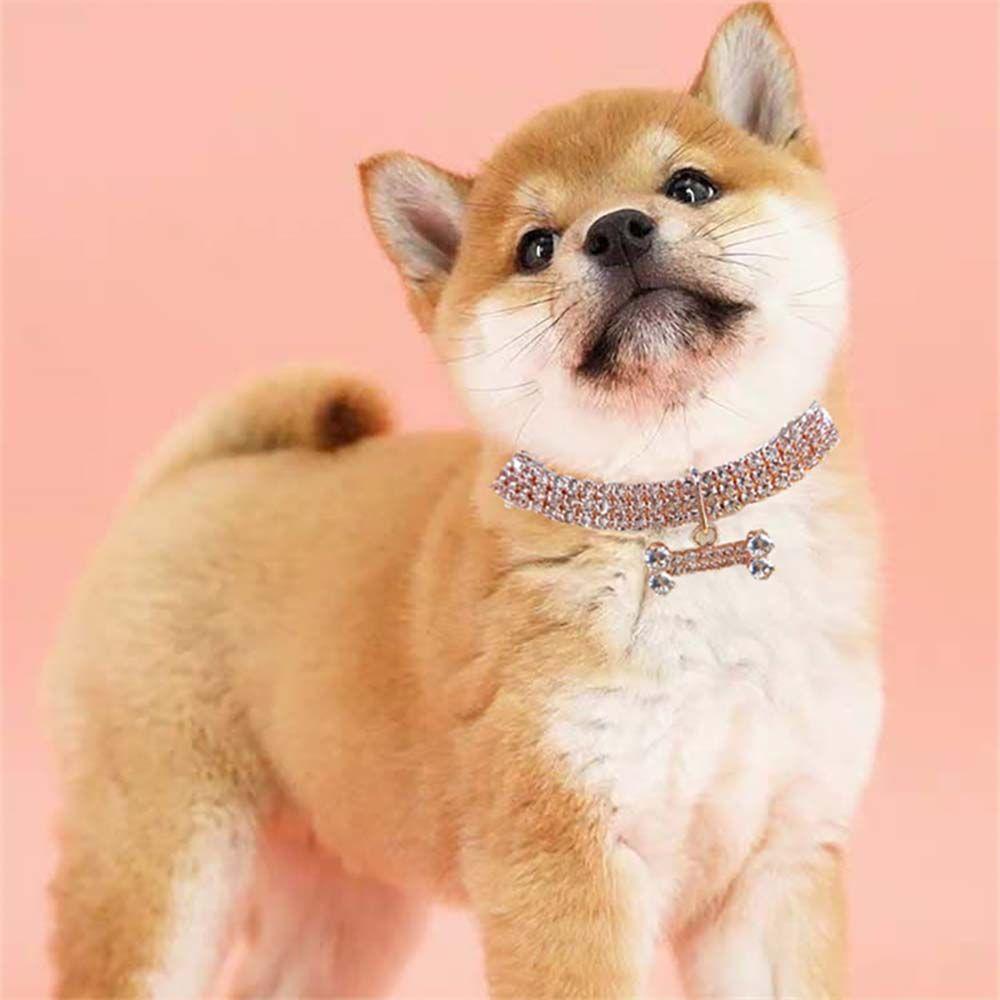 DANILO Vòng Cổ ThờI Trang Cho Thú Cưng