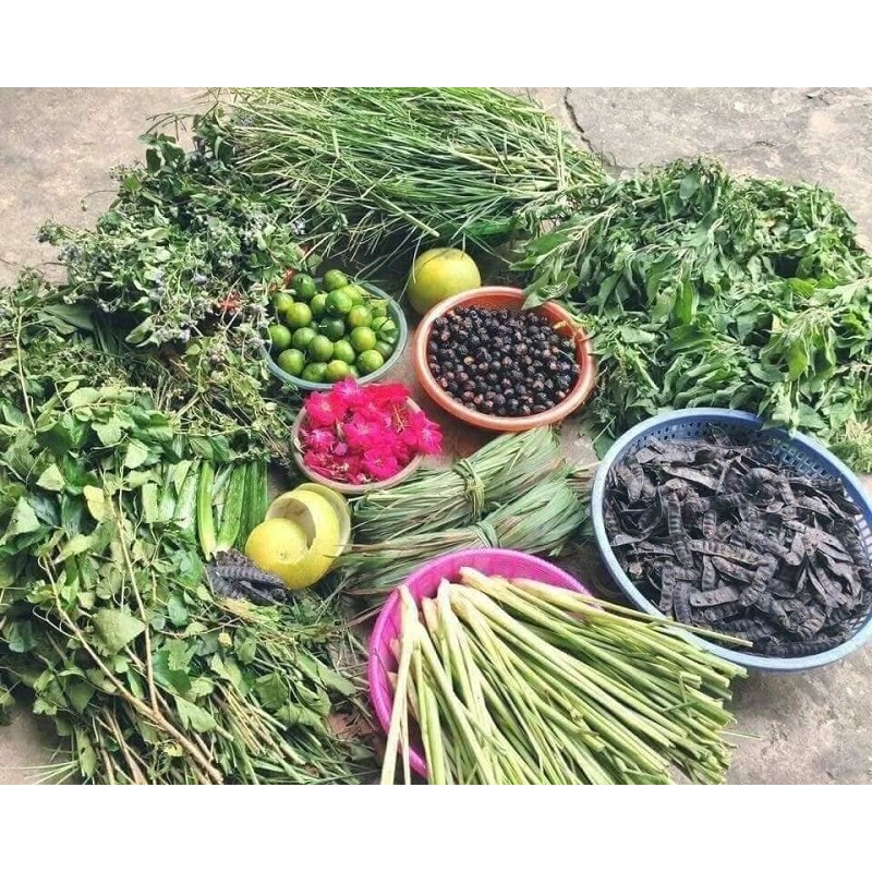 Dầu gội Thảo Dược / Dầu gội Handmade Thảo Mộc Bồ kết cô đặc, tự nấu,100% Organic | BigBuy360 - bigbuy360.vn