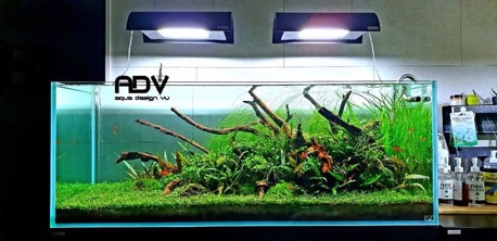 Phân nền trồng cây NEO Soil Compact - bao 3L