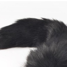 Quần lót đuôi cáo Cosplay độc đáo | BigBuy360 - bigbuy360.vn