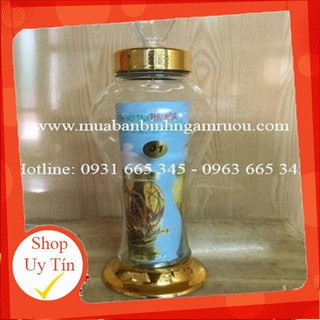 Combo 2 Bình ngâm sâm Việt Nam cao cấp 1 lít - Bình thủy tinh 1 lít - Cây Thuốc Nam Thanh Bình