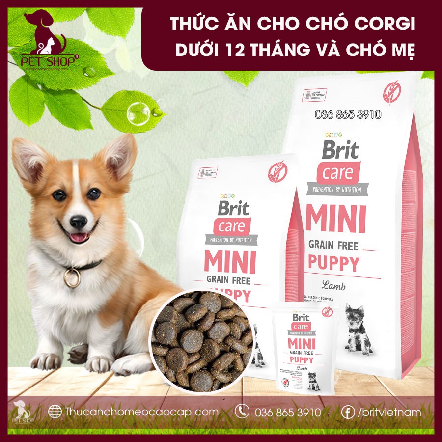 Thức Ăn Cho Chó Corgi Dưới 12 Tháng Tuổi - Brit Care Mini Grain Free Puppy
