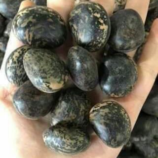 10 Hạt đậu lào