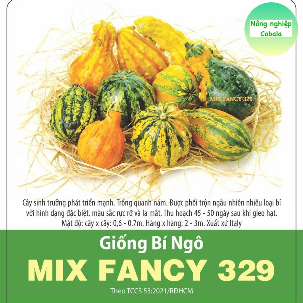 Hạt Giống Bí Ngô (MIX NANCY 329) 1gr