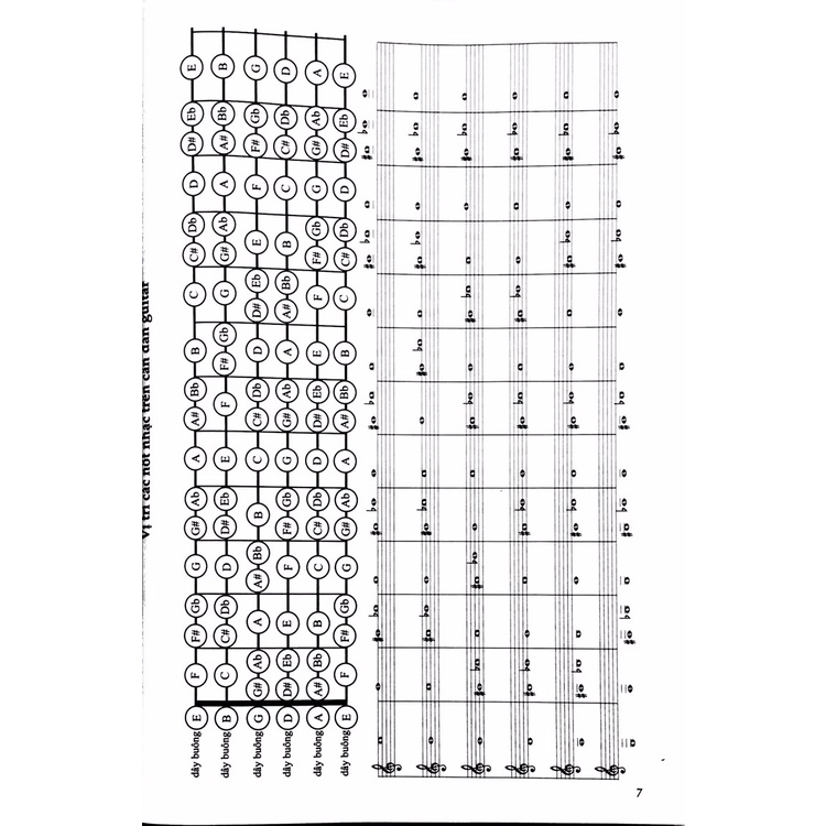 Sách 7 Ngày Biết Đệm Tây Ban Cầm