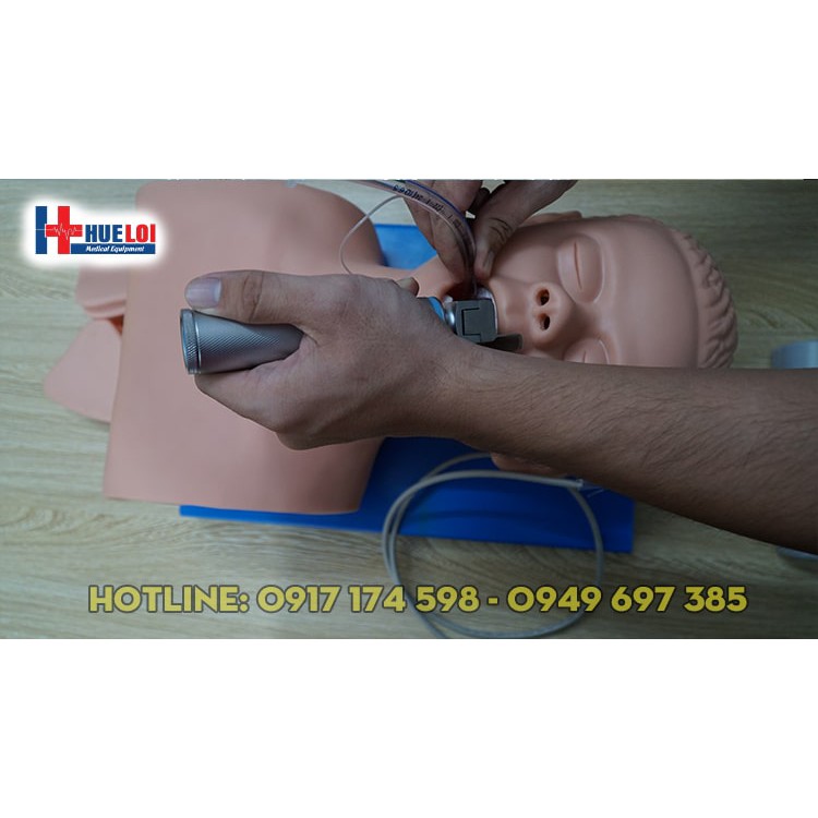 Mô hình thực hành đặt nội khí quản, Mô hình đặt nội khí quản người lớn