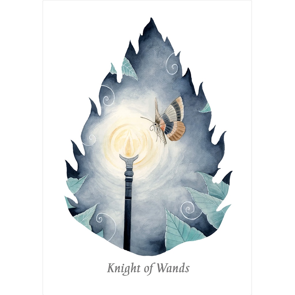 Bộ Bài WilderWoven Tarot (Mystic House Tarot Shop) - Bài Gốc Authentic Chính Hãng 100%