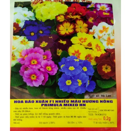 Hạt Hoa Báo Xuân F1 nhiều màu - Gói 0,2 gram