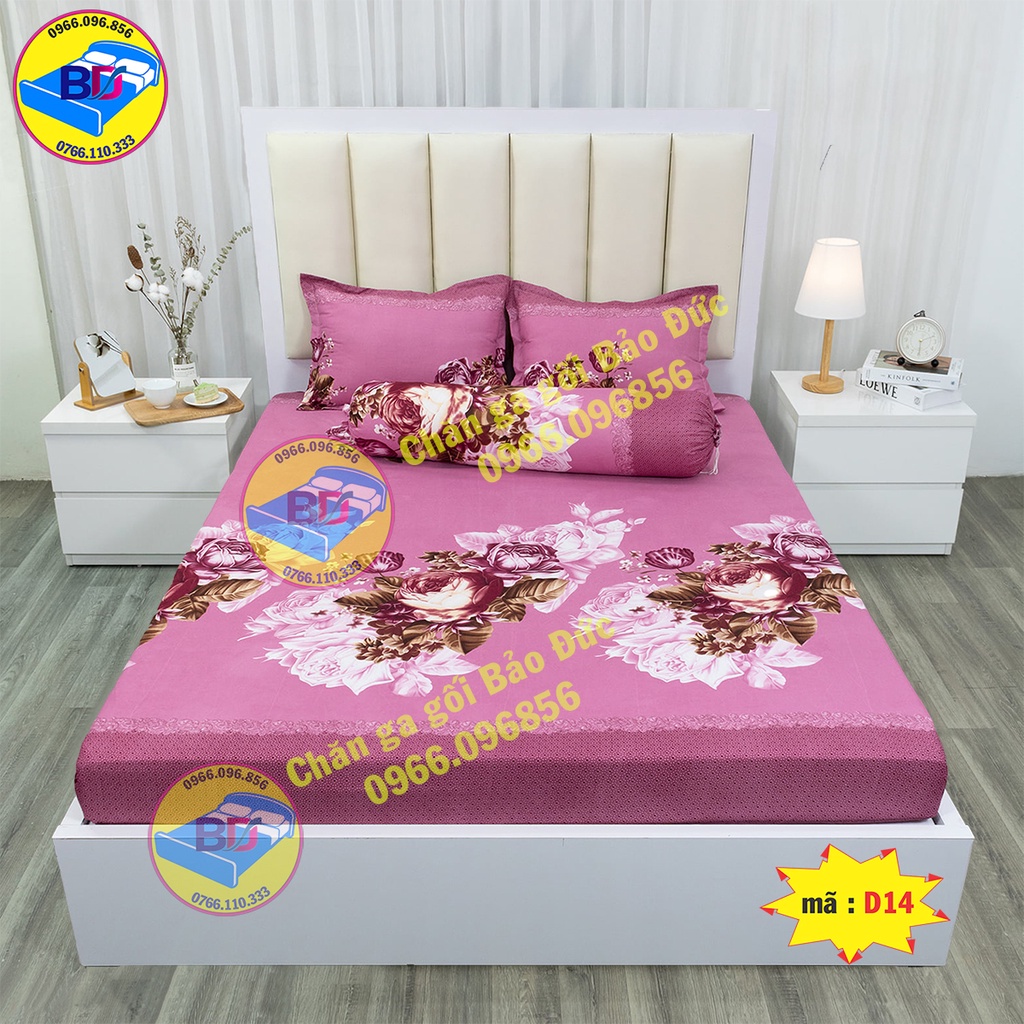 Set ga gối cotton poly ( gồm 4 món )