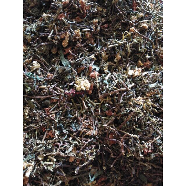 Trà Sơn Mật Hồng Sâm Sa Pa loại ngon 1 Kg