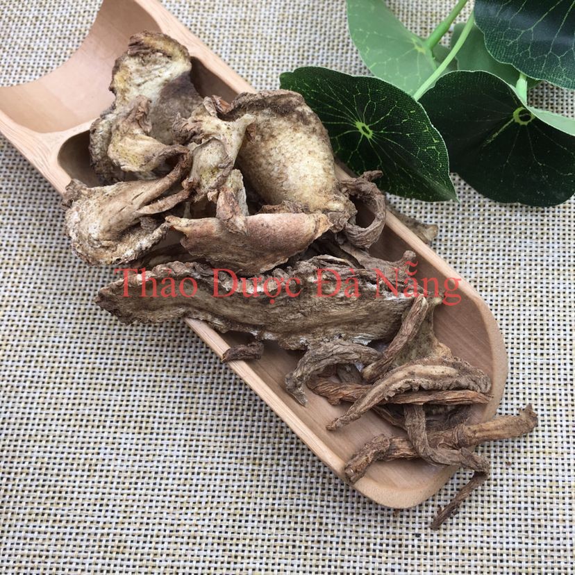 Độc Hoạt lát khô mỏng vàng 100 gram.