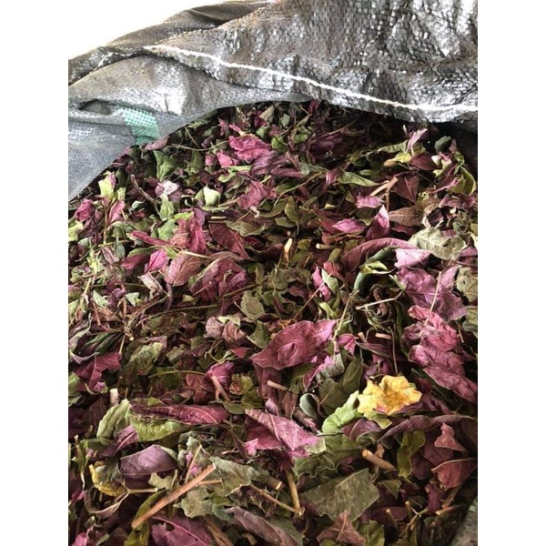 Lá đơn đỏ khô.thơm.sạch mát gan .mẩn ngứa(Giá 1kg-500gr)