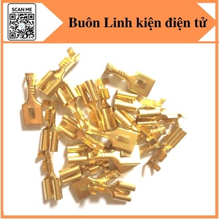 50 cos cái ghim 6.3, cos lẫy