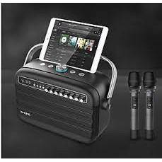 Loa Bluetooth karaoke W-King K9, 100W, tặng kèm 2 micro không dây, WKing K9, Loa di dộng, Loa xách tay